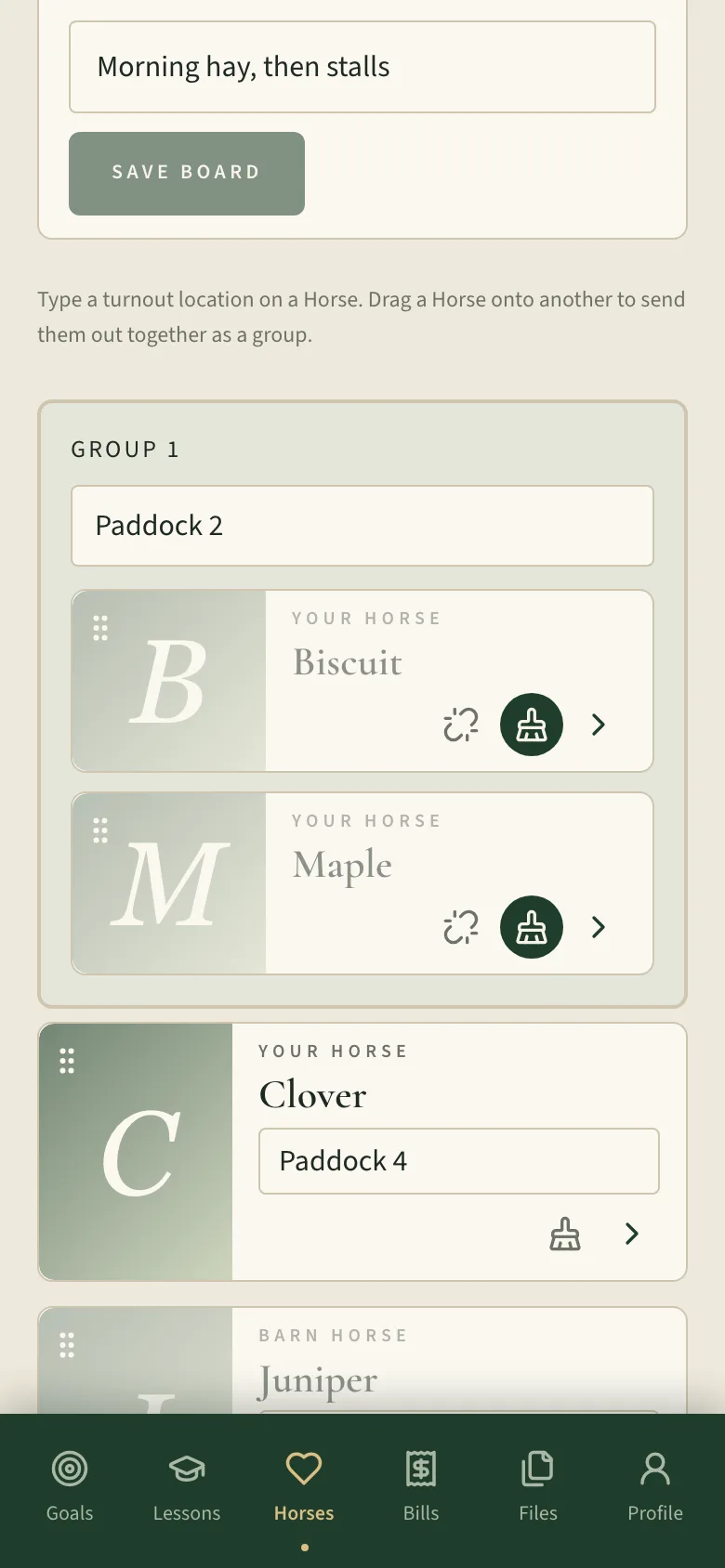Barn horse cards, each with a turnout location, and two horses grouped to go out together.